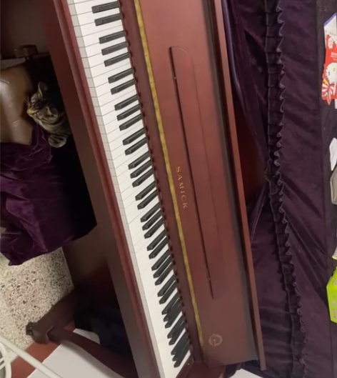要搬家了，钢琴买了，弹没几个月，闲置，出让...