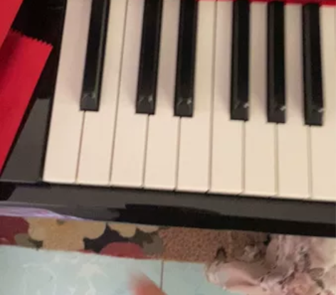 自用托亚玛钢琴实体店2w购入 本人非常爱惜...