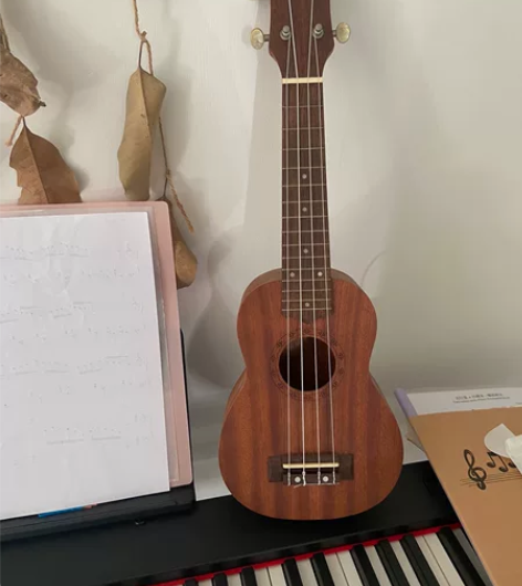 尤克里里 感兴趣的话点“我想要”和我私聊吧～