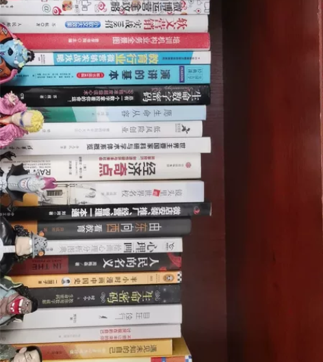 处理点书，几乎都是新的，想要哪个私聊我。 ...