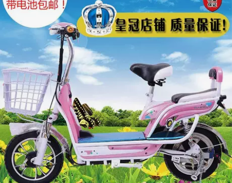 飞鸽正品 电动车  电动自行车  踏板车电...