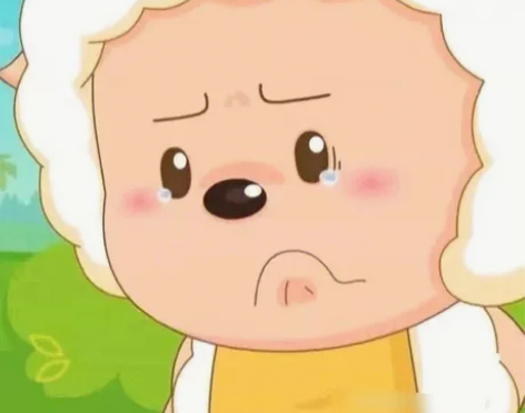 【计算机考研咨询规划】 本人22408选手...