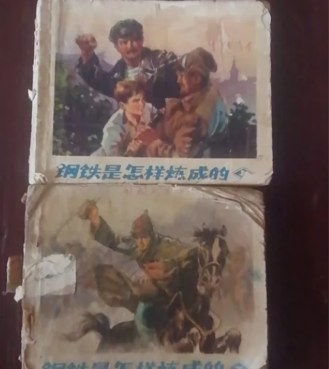 钢铁是怎样炼成的上下册 感兴趣的话点“我想...