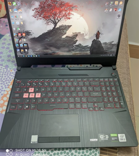 自用 华硕飞行堡垒8 FX506LI103...