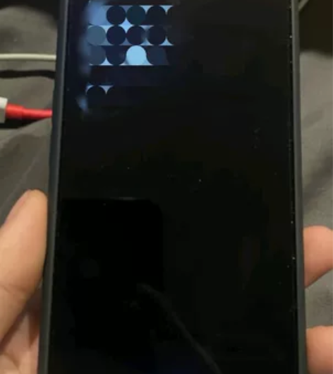 一加ACE 12+256G 天玑810...