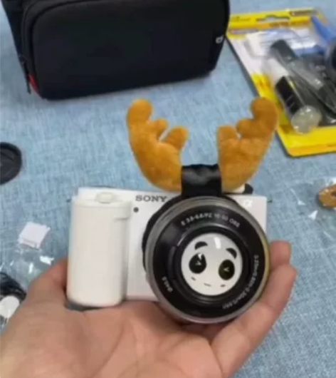 出自用索尼zve10相机,有购买记录,当时...