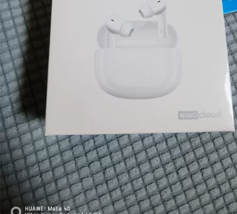 honor/荣耀 荣耀亲选Earbuds ...