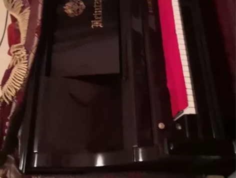 2005年海资曼立式132钢琴。孩子学琴自...