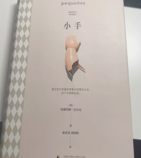 小手 (西)安德烈斯·巴尔瓦 正版书籍小说...