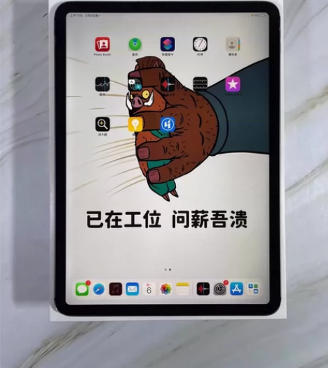 Apple/苹果 iPad Pro 11英...
