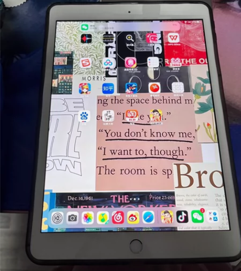 经济紧张出，2020款pro iPad平板...