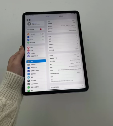 iPad pro 2021款 11寸 大内...