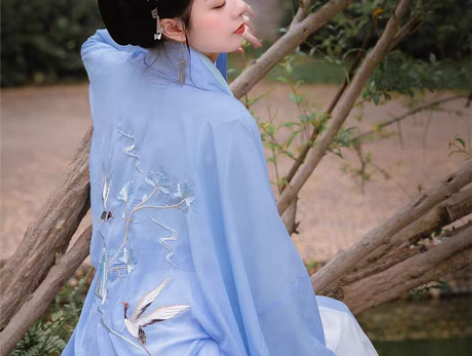 转卖清梳汉服女夏季云中鹤夜大袖衫女单件披风...