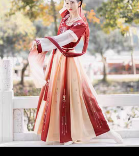 包邮珍缕原创汉服，千禧寻，唐制坦领，L码，...