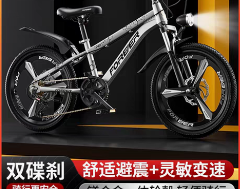 转卖永久儿童自行车6-8-10岁以上中大童...