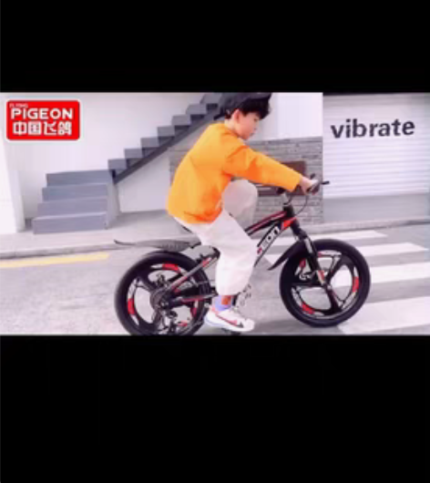 包邮(车行低价处理一批自行车)飞鸽儿童自行...