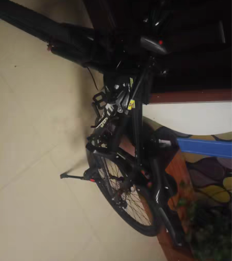 菲利普自行车，全新，一点问题也没有，送骑行...