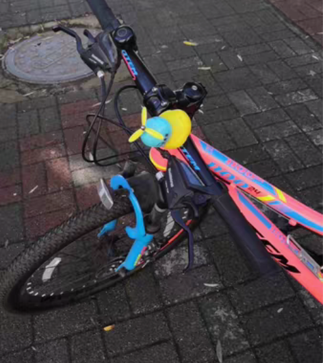 去年给孩子买的，捷安特自行车专卖店购入，子...