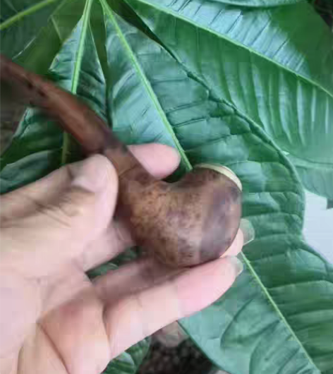 包邮麻利疙瘩烟斗!斗暴满↖,纯手工制作,两...