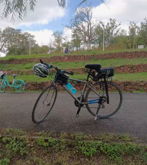 捷安特fcr3100公路自行车 m码车架（...