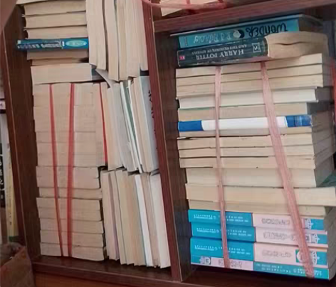 图书盲盒 两本  初中必读书目宇宙简史青少...