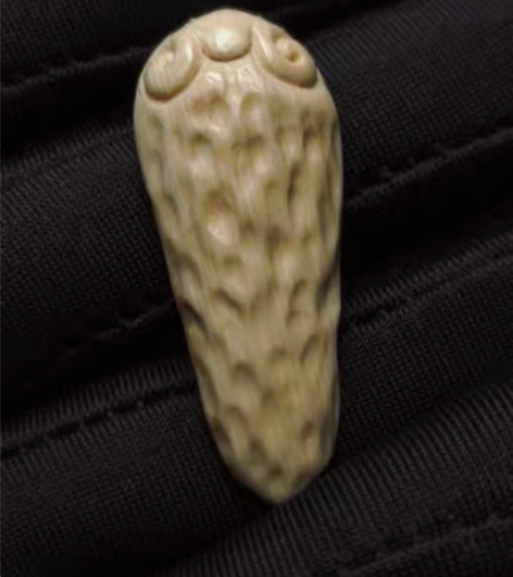 猛犸牙雕作品:《石器时代系列》项链 吊坠 ...