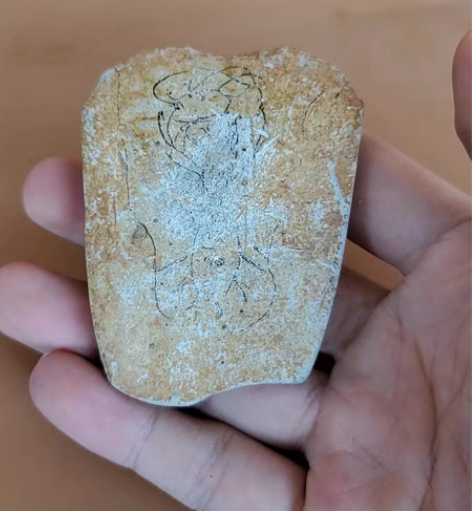 古石器时代石器，可做研究收藏，喜讯询 感兴...
