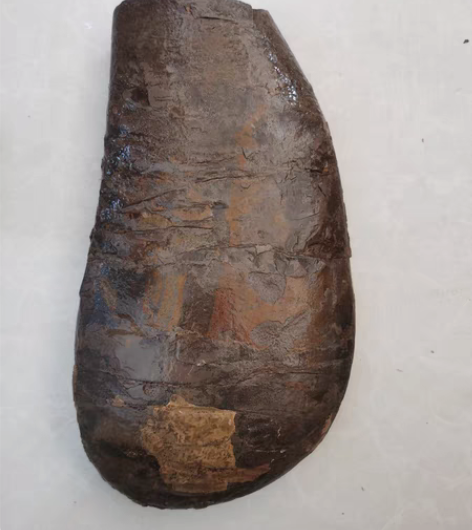 石器时代工具之石刀，长约25，宽约15，整...