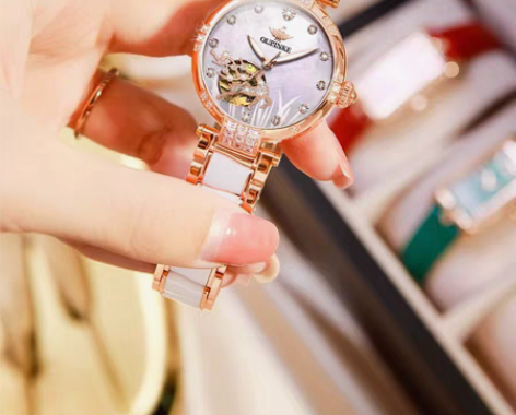 包邮瑞士认证欧品客正品牌手表女士全自动机械...