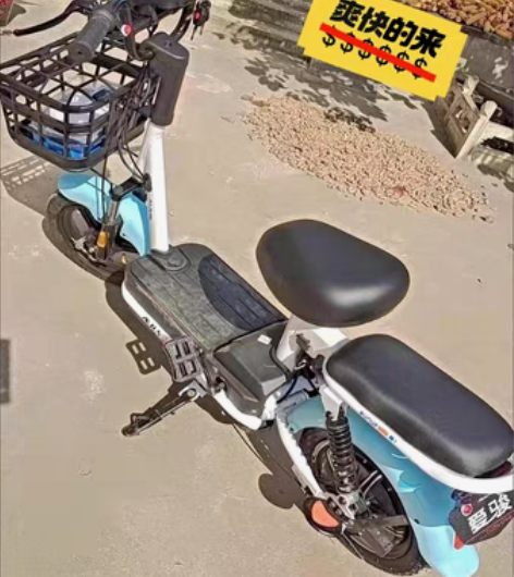 包邮【挥泪大甩卖】全新全新 新国标电动自行...