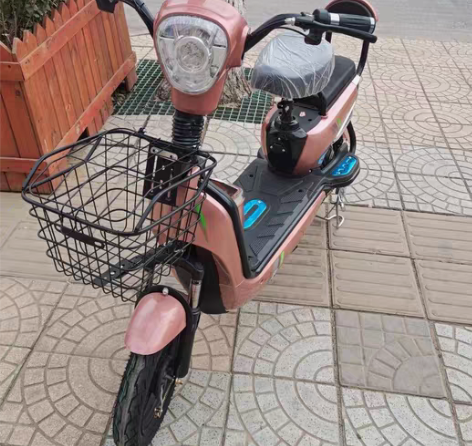 包邮金丝猴电动车新款成人锂电池电瓶车双人男...