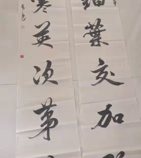 包邮河北九寸痕散人增乐先生2009年长幅行...
