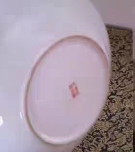 景德镇手绘万寿无疆瓷盘，直径22，高度4，...