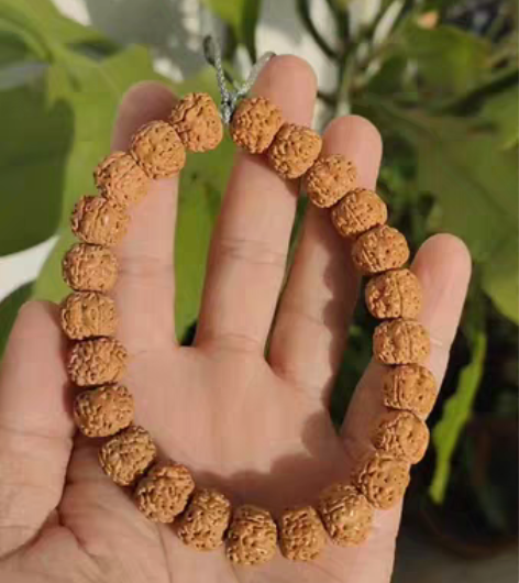 包邮树祖小金刚菩提手持，天然平头圆尾，纯天...