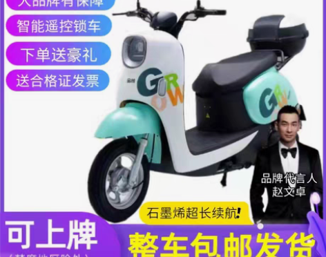 转卖金箭小龟王电动车高速小绵羊电瓶摩托踏板...