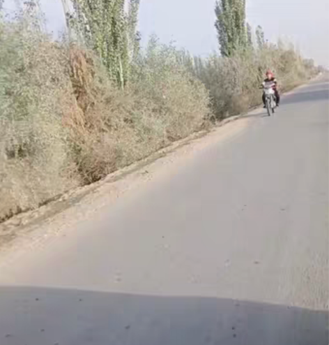 宗申比亚乔150摩托车，发动机无拆修，没怎...