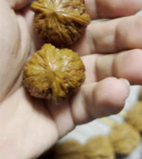 边30.6，肚30.5，高，31.4 全品...