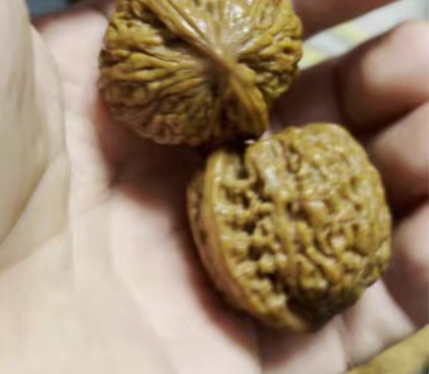 36承德红宝石，手感不错，盘完一年了，随缘...