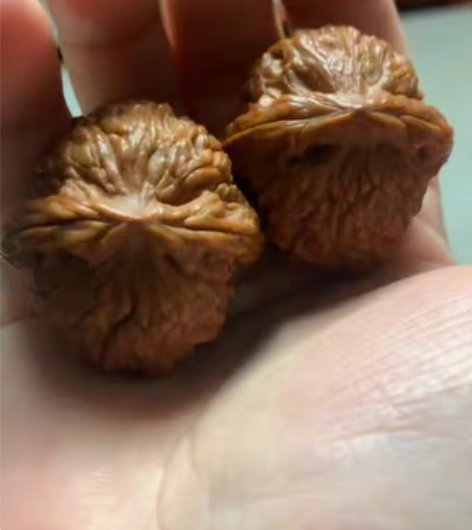 包邮38蓟县元宝，喜欢拿走 感兴趣的话点“...
