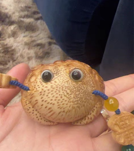 小石头蛙 感兴趣的话点“我想要”和我私聊吧...