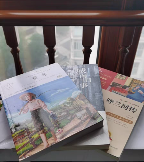 包邮包邮《呼兰河传》+《童年》+《城南旧事...