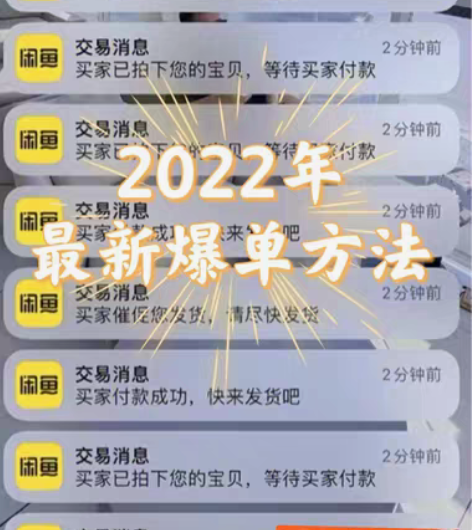 包邮10元全套教程咸鱼运营教程 无货源也可...