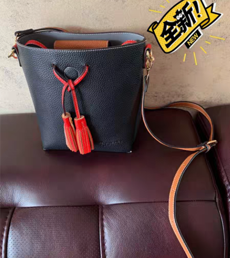 包邮啄木鸟牌子女包 只背过一次 长带子还没...