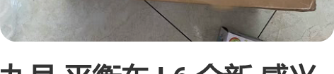 九号 平衡车 L6 全新 感兴趣的话点“我...
