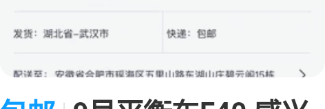 包邮9号平衡车F40 感兴趣的话点“我想要...