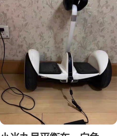 小米九号平衡车，白色，成色不错， 有原装充...