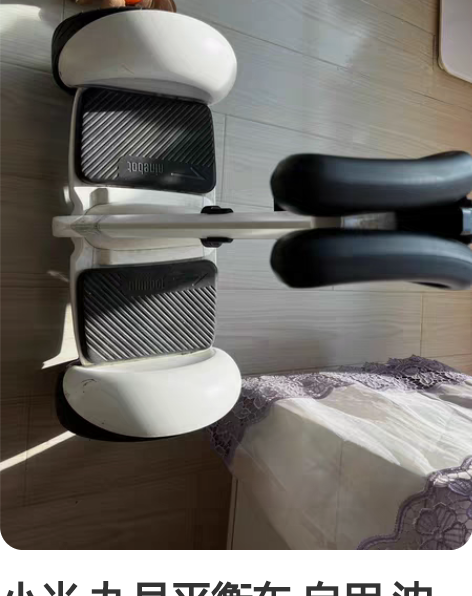 小米 九号平衡车 自用 沈阳本地自提，试好...