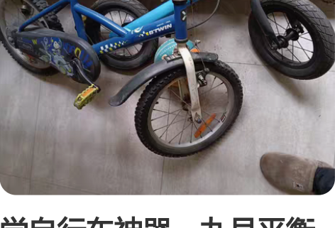 学自行车神器。九号平衡车单买380，迪卡侬...