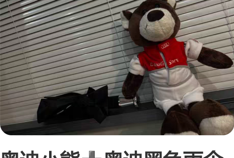 奥迪小熊奥迪黑色雨伞一起99 雨伞全新，就...