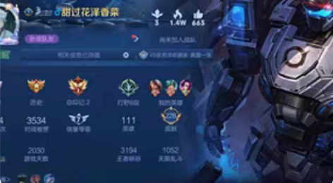 王者荣耀安卓区 无限飓风号 杀手不太冷 天...